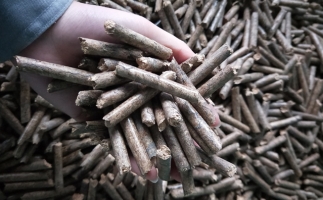 鋸末顆粒機顆粒，一種快速增長的能源載體