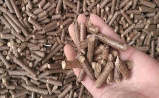 鋸末顆粒機(jī)生物質(zhì)燃料與燃煤對(duì)比情況如何？