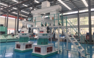 木屑顆粒機多少錢一臺?建顆粒廠大約多少錢？