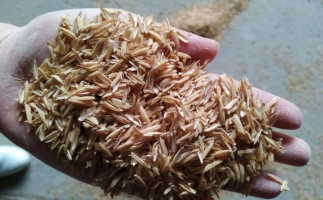 為什么稻殼較難燃燼?稻殼顆粒機(jī)生產(chǎn)顆粒幾個(gè)步驟？