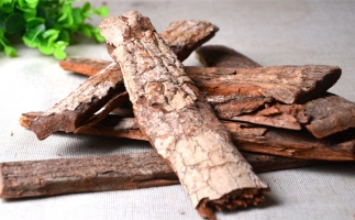 木材加工廠的廢棄物刨花能夠用來做什么？鋸末顆粒機告訴你