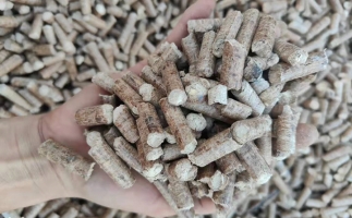 木材加工廠木屑堆積如山，環(huán)保部門令趕緊處理怎么辦？有它就夠了