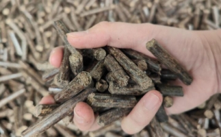 木屑燃料顆粒熱值多少大卡，完全取決于燃料的原料